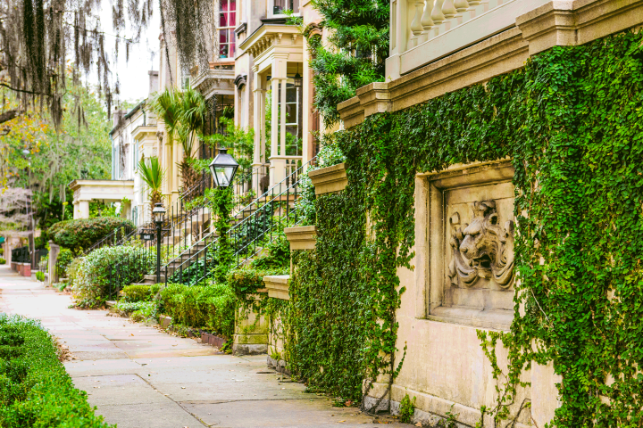 Lush Greenery Lines A Charming Sidewalk, With Historic Homes Adorned By Vines And Artistic Stonework In A Serene Neighborhood Setting.